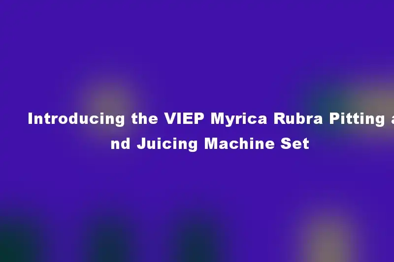 Introducing the VIEP Myrica Rubra Pitting and Juicing Machine Set