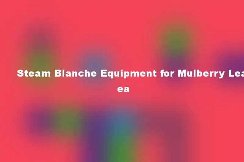 Steam Blanche Equipment for Mulberry Leaf Tea